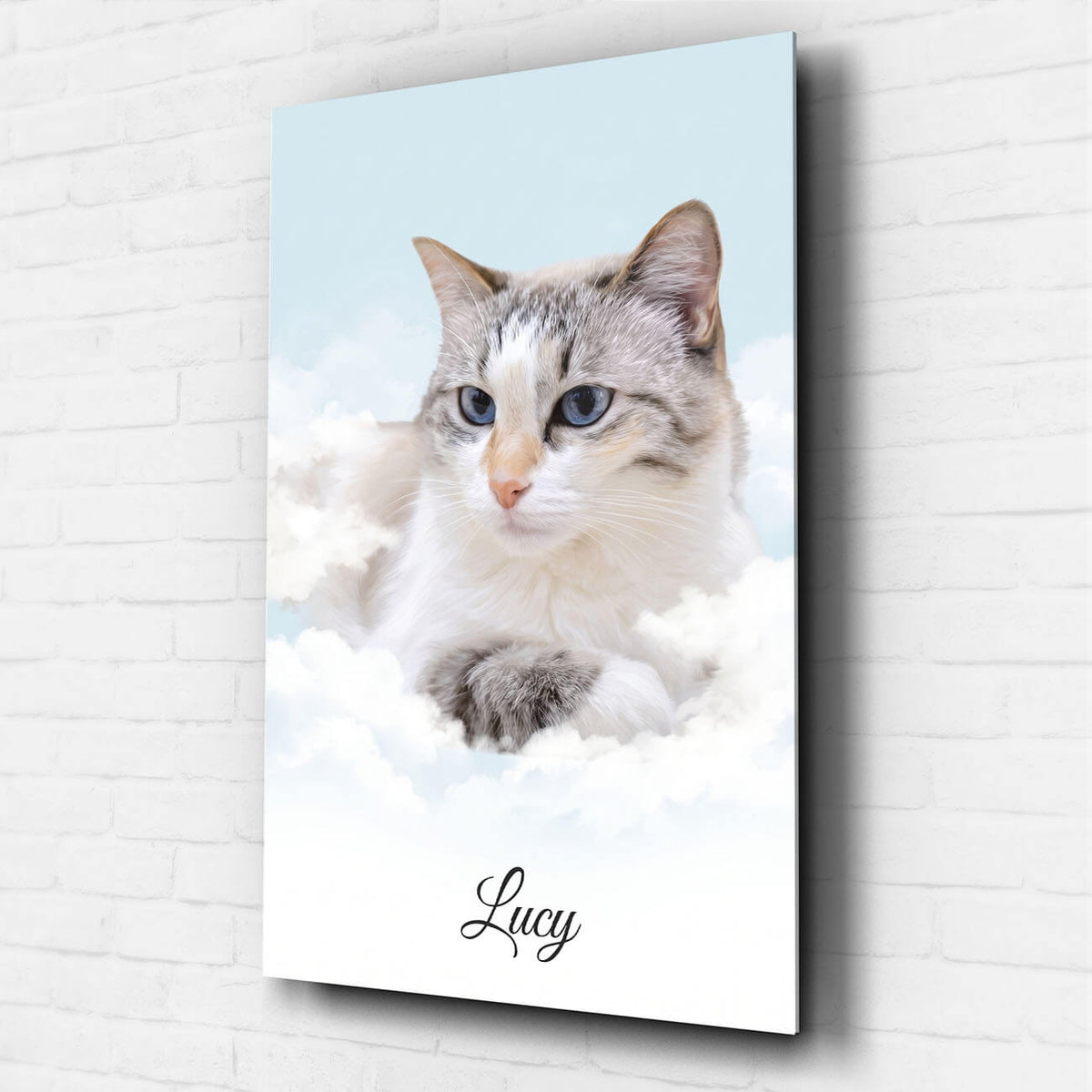 Ritratto di gatto personalizzato sulle nuvole dalla tua foto - vetro acrilico