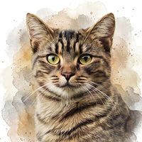 Gatti ad acquerello